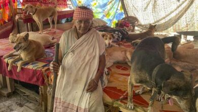 Photo of Con 200 perros a su cargo, una anciana aterra a sus vecinos en la India